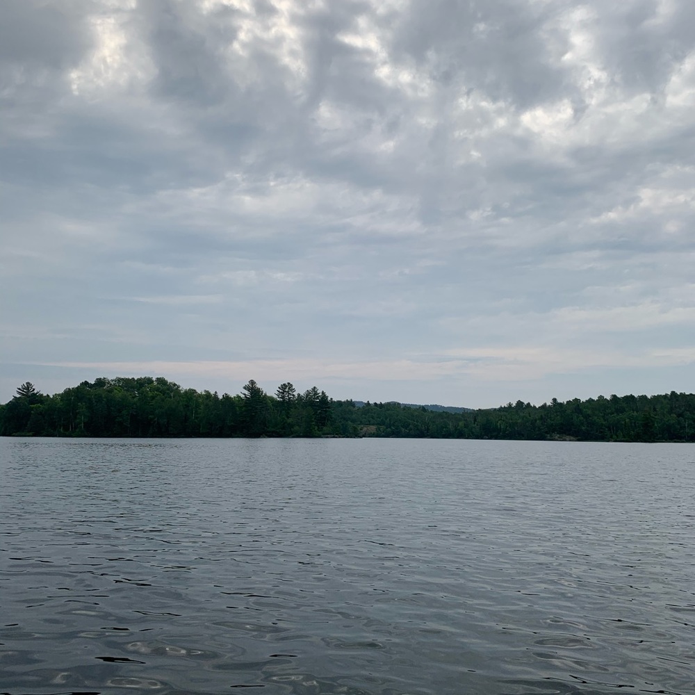 Meet your Posher, Melika